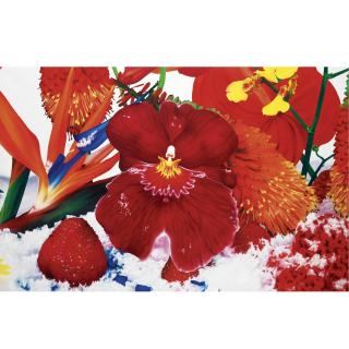 Marc Quinn - Tropopause