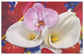 Marc Quinn - Twin Peaks of Cho Oyo