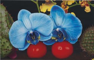 Marc Quinn - Under The Volcano (Kirishima Japan)