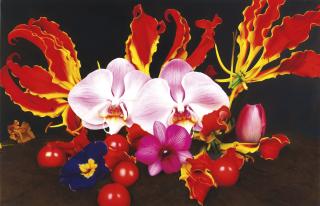 Marc Quinn - Under The Volcano. Ol Doinyo Lengai, Tanzania