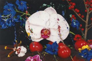 Marc Quinn - Under The Volcano, Snezhniy, Kamchatka Peninsula