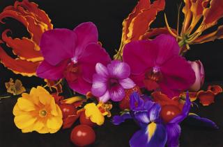 Marc Quinn - Under The Volcano, Soufrière Hills