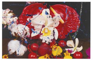 Marc Quinn - Under The Volcano (Tacana Mexico)