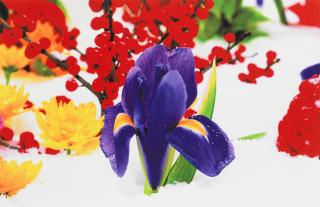 Marc Quinn - Untitled, no. 8 from \'Winter Garden\'