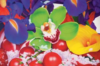 Marc Quinn - Upper Stratospheric Photochemistry