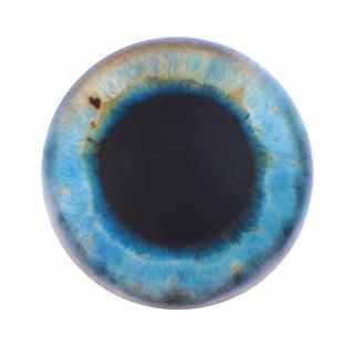 Marc Quinn - We Share Our Chemistry With the Stars (AJ280R)