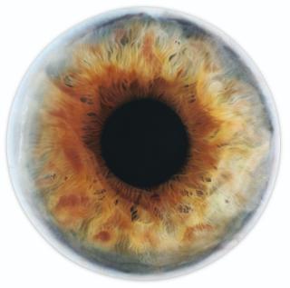 Marc Quinn - We Share Our Chemistry With The Stars Xh-150