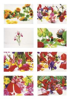 Marc Quinn - Winter Garden (1-8)