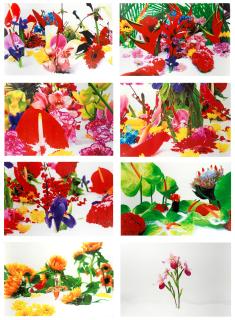 Marc Quinn - Winter Garden, 2004