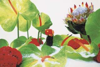 Marc Quinn - Winter Garden 4