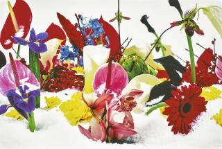 Marc Quinn - Winter Garden