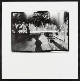 Marc Trivier - Paradis perdu