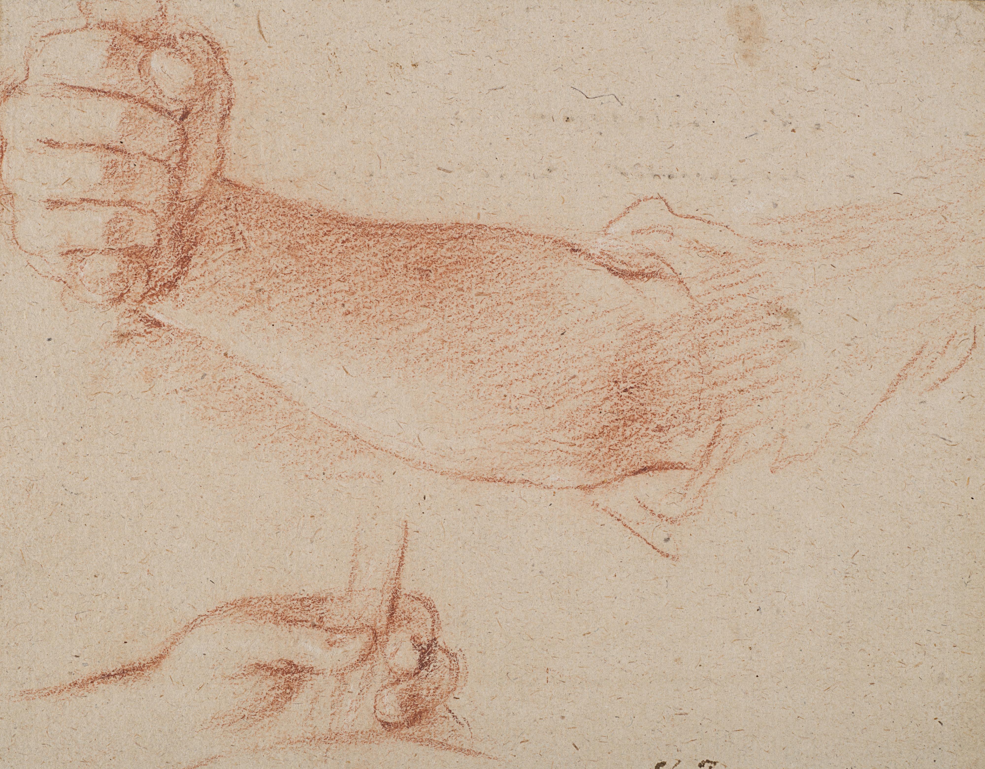 Marcantonio Franceschini - Study of hands
