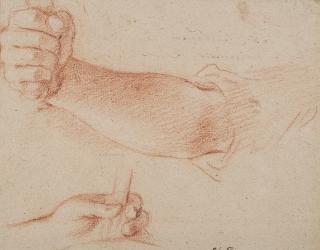 Marcantonio Franceschini - Study of hands
