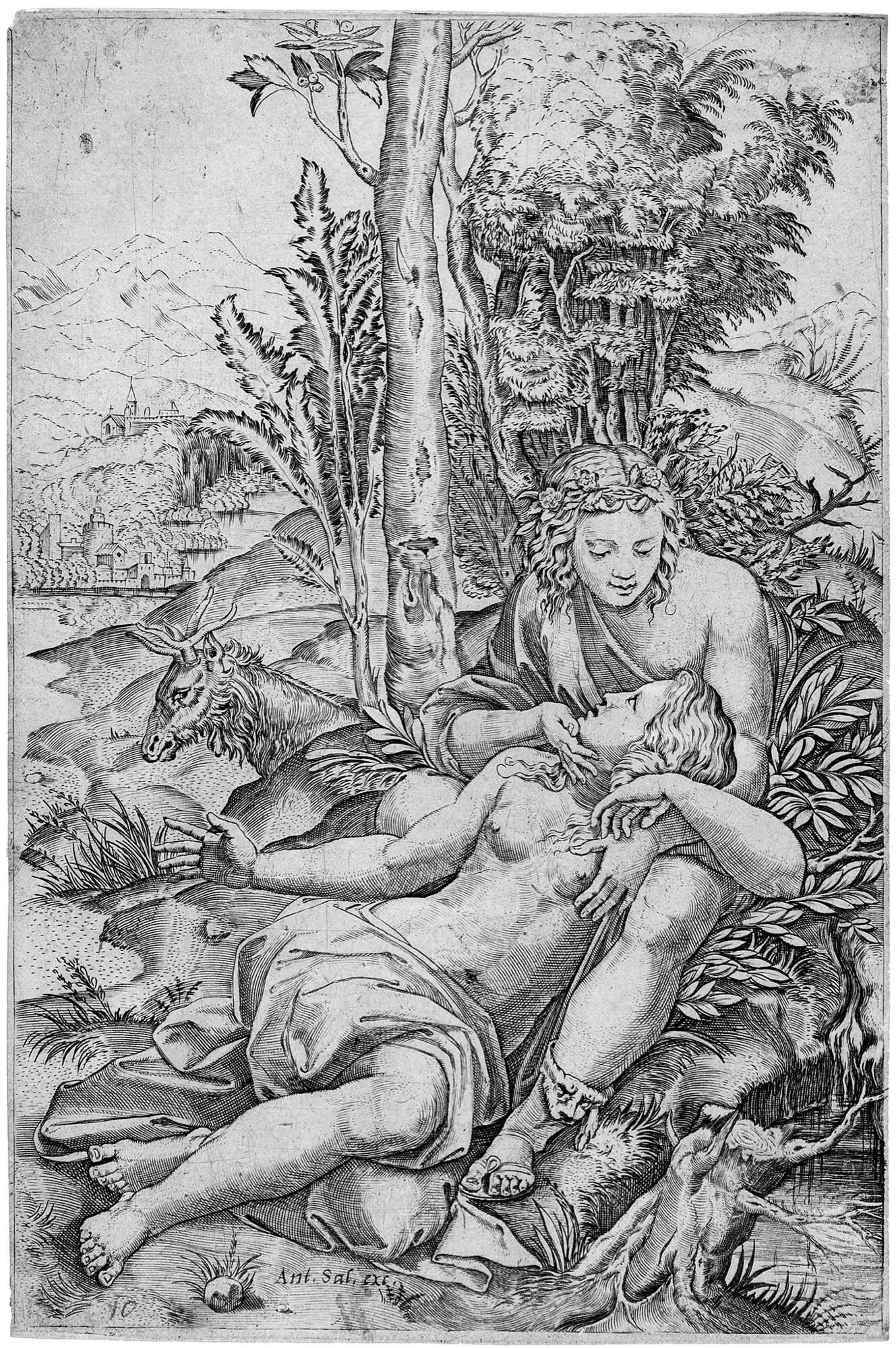 Marcantonio Raimondi - Venus und Adonis.