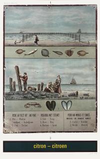 Marcel Broodthaers - Citron - Citroen (Réclame pour la Mer du Nord)