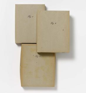 Marcel Broodthaers - Fig. A