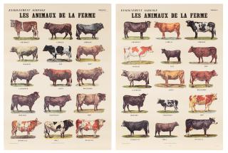 Marcel Broodthaers - Les Animaux de la ferme (The Farm Animals)
