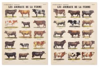 Marcel Broodthaers - Les Animaux De La Ferme (The Farm Animals)