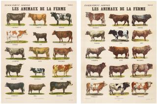 Marcel Broodthaers - Les Animaux de la Ferme