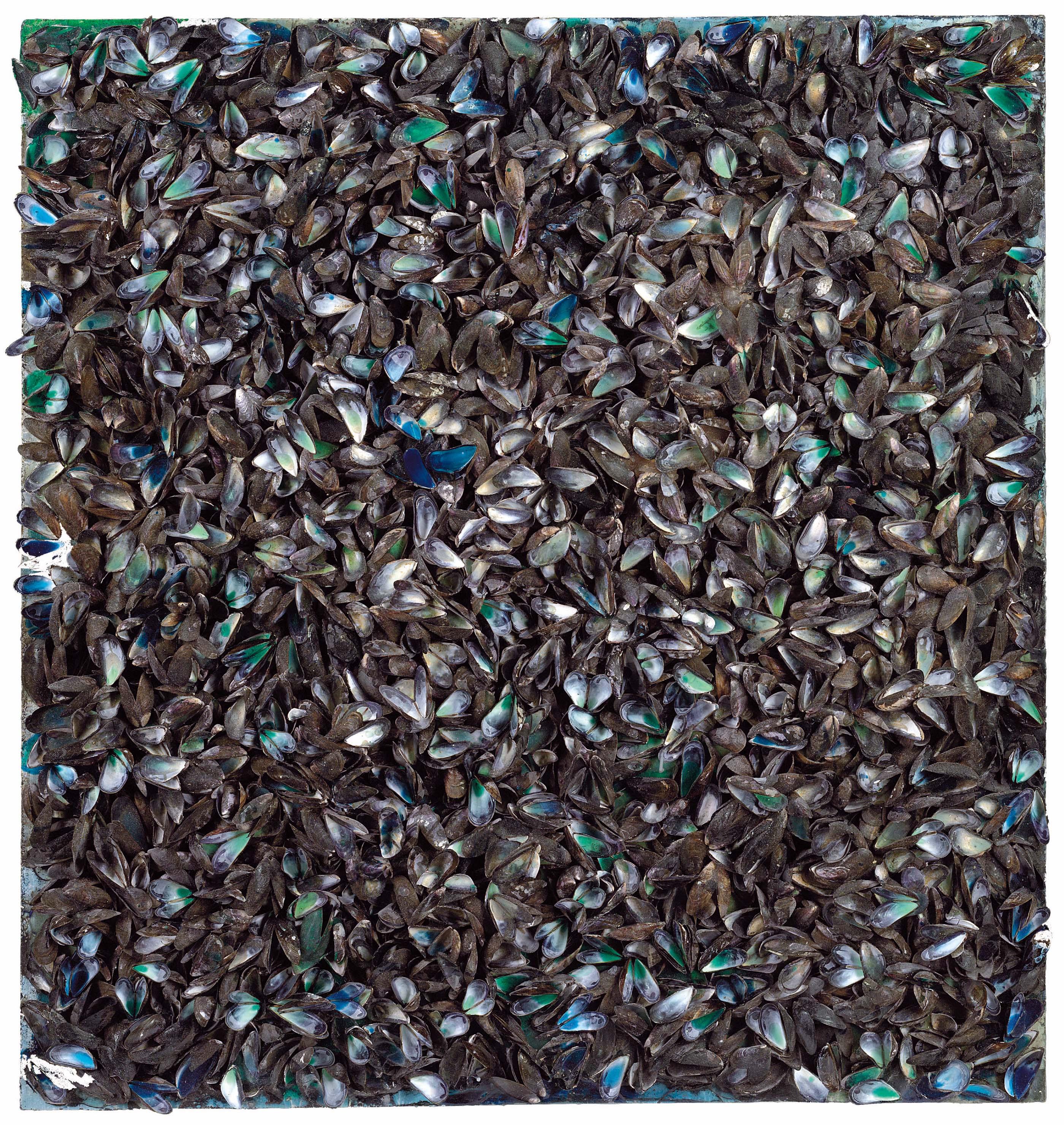 Marcel Broodthaers - Surface de moules (avec sac) (Surface of mussels (with bag))