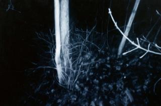 Marcel Gähler - Ohne Titel (0_ 2003_ 20)