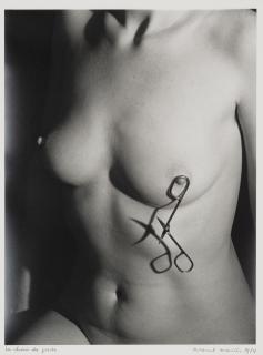 Marcel Mariën - La chair de poule