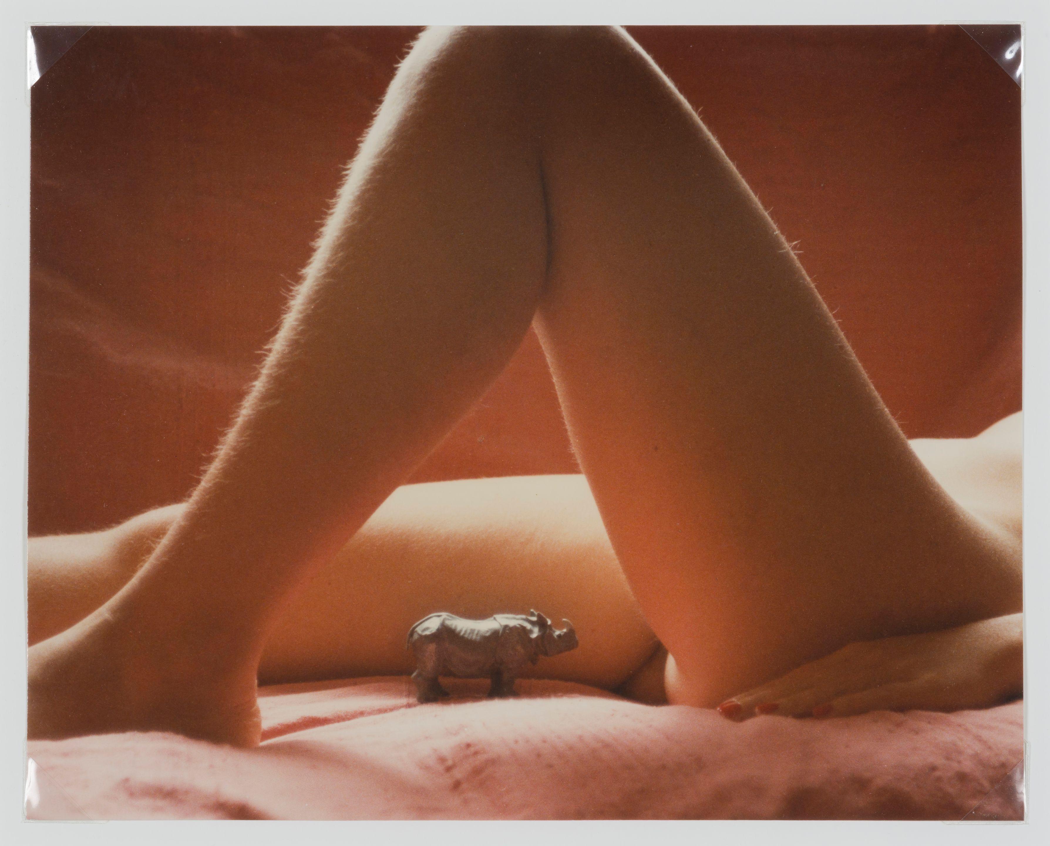 Marcel Mariën - Le voyage extraordinaire