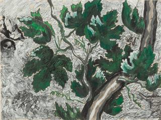 Marcel Odenbach - Ohne Titel (Weinlaub)