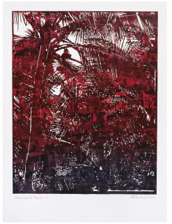 Marcel Odenbach - Traumatische Tropen 1