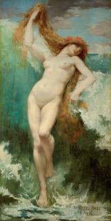 Marcel Paul Meys - Nereis