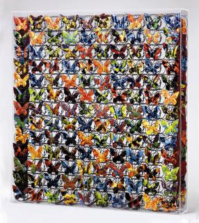 Marcello Lo Giudice - Primavera di Botticelli