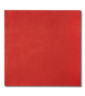 Marcia Hafif - Cadmium Red Medium, 1991