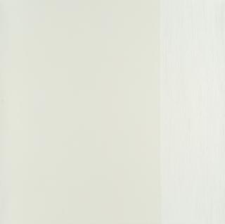Marcia Hafif - „Pale Painting: 8. NY 07“