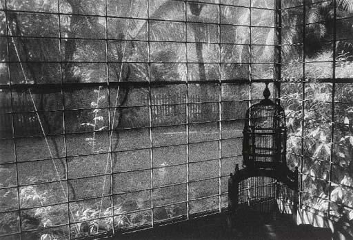 Marcia Lippman - Golden Valley, Rangoon, Burma; and Peliatan, Bali, Indonesia