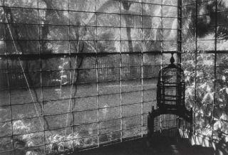 Marcia Lippman - Golden Valley, Rangoon, Burma; and Peliatan, Bali, Indonesia