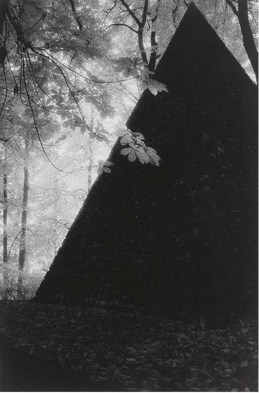 Marcia Lippman - Le Desert de Retz, Chambourcy, France; and Highgate, London