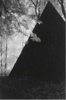 Marcia Lippman - Le Desert de Retz, Chambourcy, France; and Highgate, London