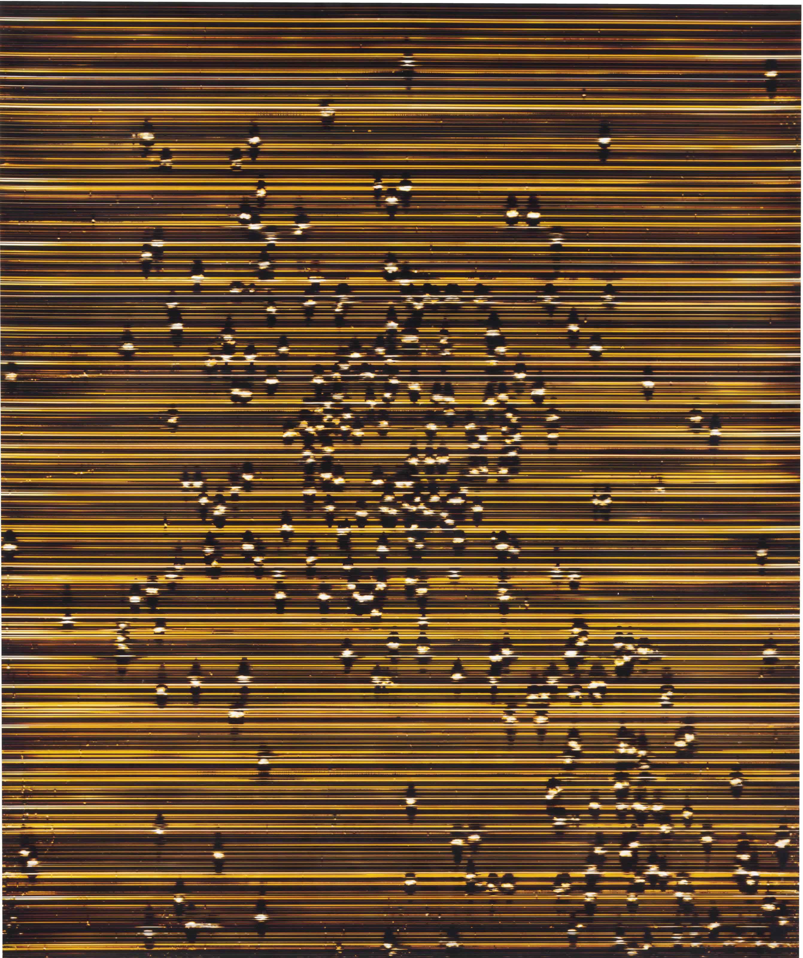 Marco Breuer - Pan (C-366), 2003