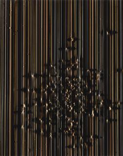 Marco Breuer - \'Tilt (C-339)\'