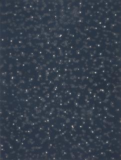 Marco Breuer - Untitled (A/P)