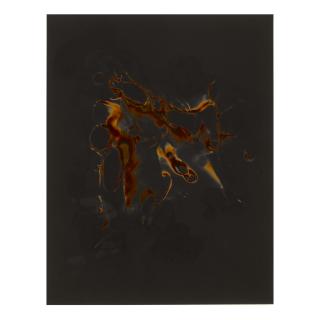 Marco Breuer - \'Untitled (Alc.)\'