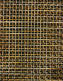 Marco Breuer - Untitled (C-594)