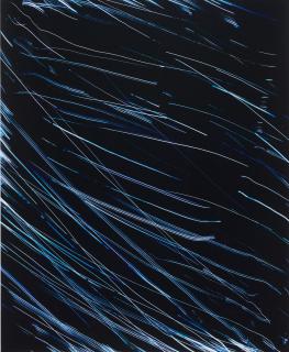 Marco Breuer - \'Untitled (C-804)\', 2008