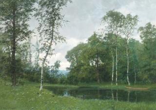 Marco Calderini - A quiet pond in a forest clearing
