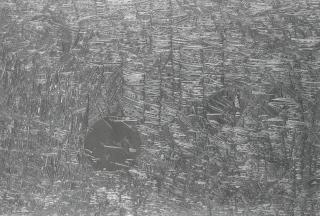 Marco Maggi - Motherboard (West)