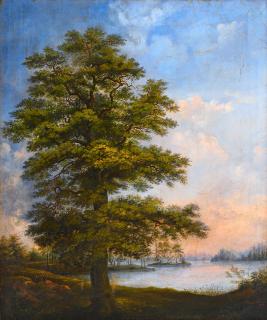 Marcus Larsson - Tree By The Shore.