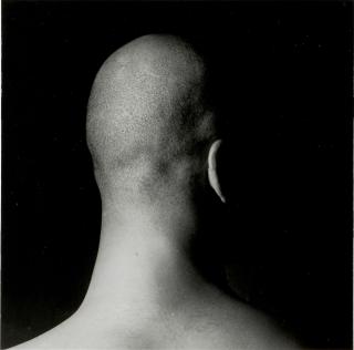 Marcus Leatherdale - # 293 II (Arrière de la tête)