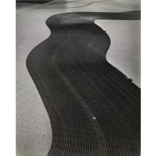 Margaret Bourke-White - Protective Pattern, Walsh, Colorado