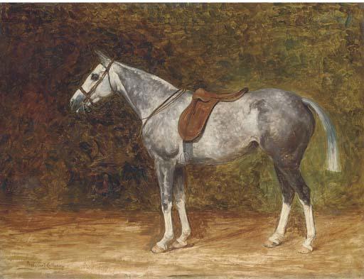 Margaret Collyer - A Saddled Dapple Grey Hunter